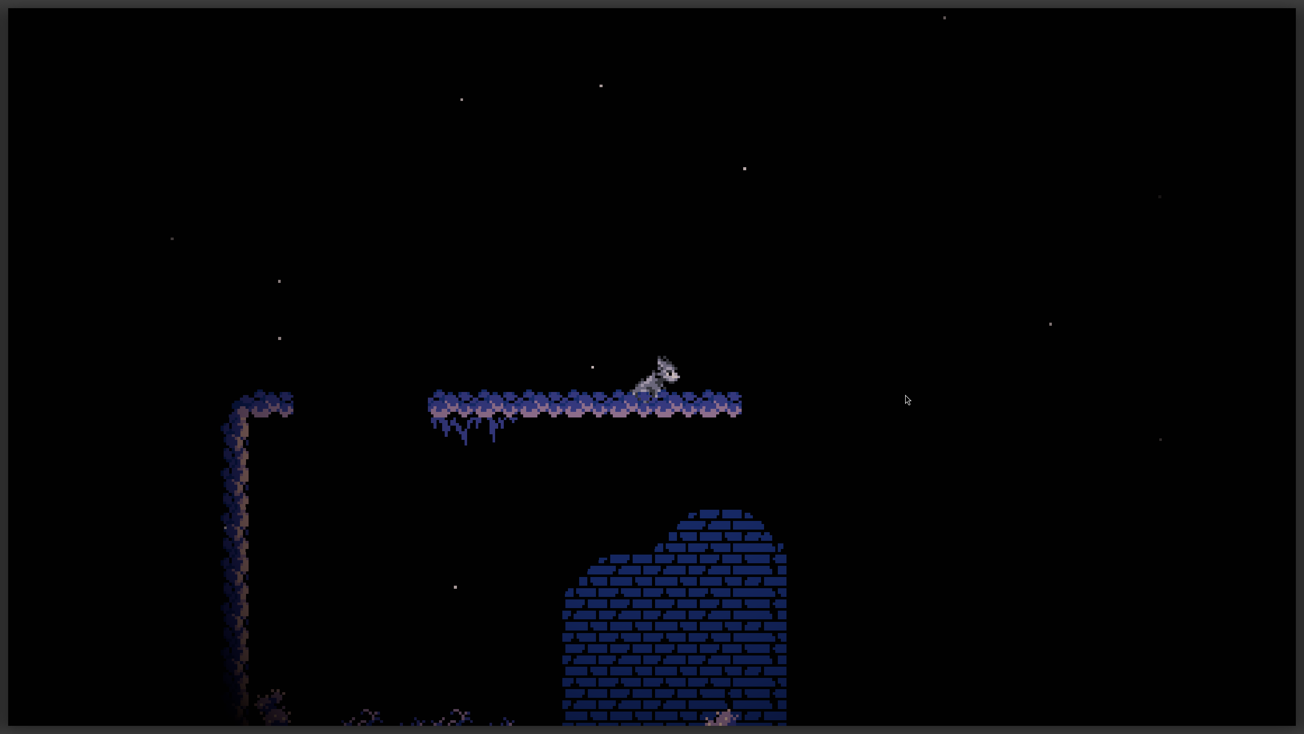 Wolf sitting on the roof with snow around it.